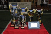 /album/a2015-11%c2%b0-edizione-finali-e-premiazioni/dsc-0580-jpg/